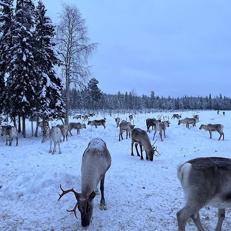 Kenttaeniemi Cottages Sonka Екстериор снимка